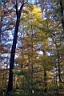 DCP_2619_DCE.JPG