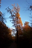 DCP_2622_DCE.JPG
