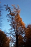 DCP_2625_DCE.JPG