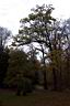 DCP_3968_DCE.JPG