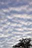 DCP_3970_DCE.JPG
