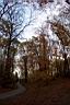 DCP_3975_DCE.JPG