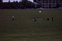 DCP_1809_DCE.JPG
