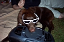 DCP_1823_DCE.JPG
