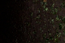 inferno0041.jpg