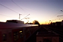 DCP_2828_DCE.JPG