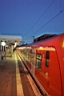 DCP_2830_DCE.JPG